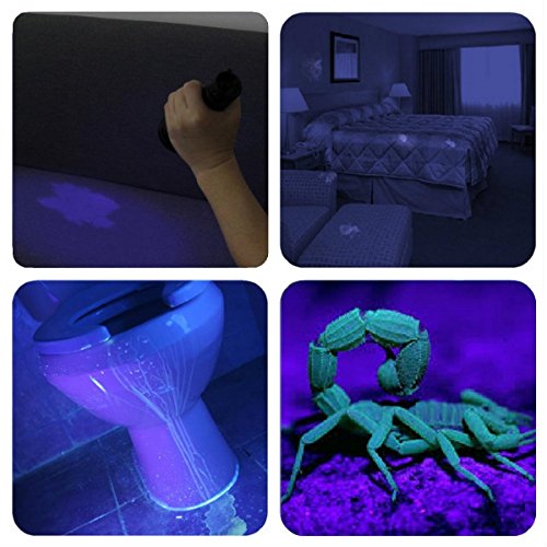 Vansky® UV Schwarzlicht Taschenlampe mit 51 LEDs | Haustiere Urin-Detektor für eingetrocknete Flecken Ihrer Hunde, Katzen und Nagetiere auf Teppichen, Vorhänge, Gardinen, Möbel und anderen Stoffen | inkl. 3xAA-Batterien [Energieklasse A] - 7